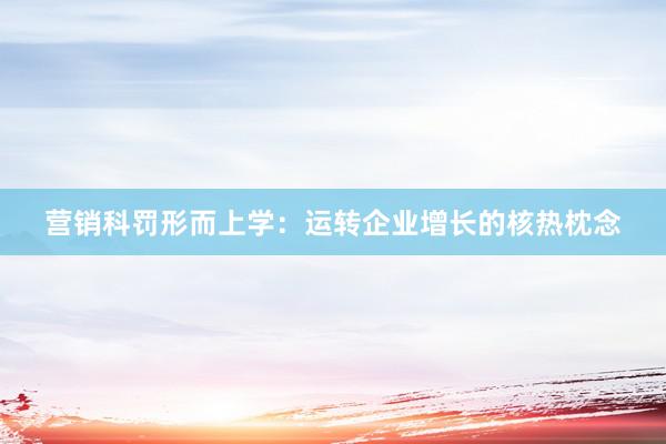营销科罚形而上学：运转企业增长的核热枕念